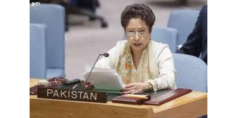 پاکستان اقوام متحدہ کی امن کوششوں کی غیرمتزلزل حمایت کرتا ہے۔ملیحہ ..