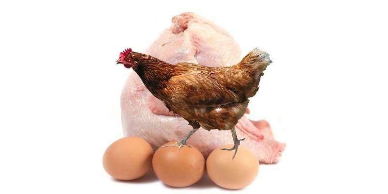 مرغی کے گوشت میں کمی، انڈوں کی قیمتیں بڑھ گئی