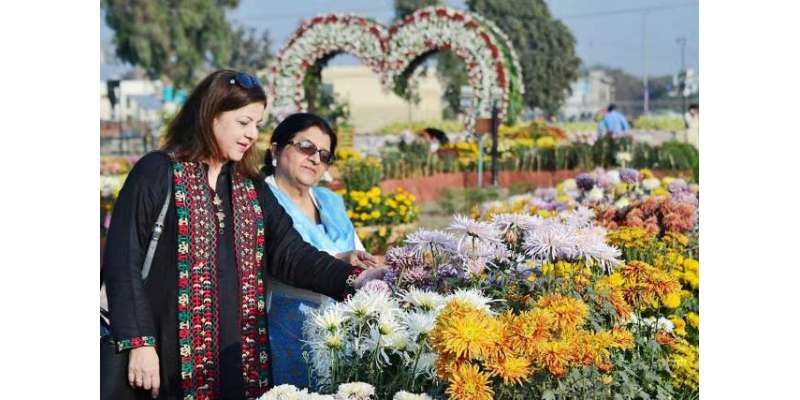 گریٹر اقبال پارک میں گل دائودی کی نمائش کے شرکاء میں انعامات تقسیم ..