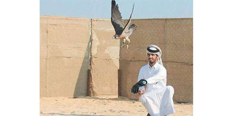 قطر:دوحا میں عقابوں کے سالانہ مقابلوں کا اعلان