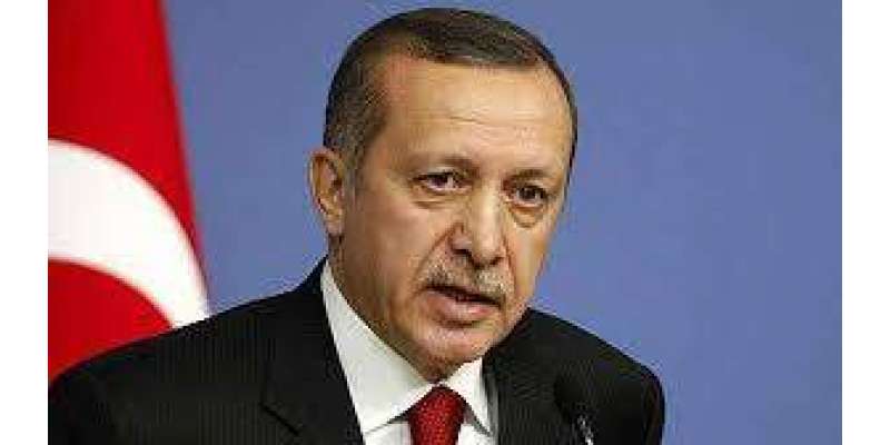ترک صدر اردگان کے اختیارات میں مزید اضافے کا بل پارلیمان میں پیش