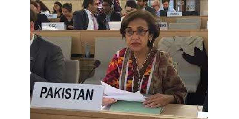 پاکستان اقوام متحدہ میں پانچویں نظرثانی کانفرنس کا صدر منتخب