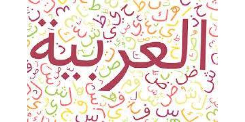 عربی زبان کی اہمیت میں دن بدن اضافہ ہورہاہے،فاطمہ زینب
