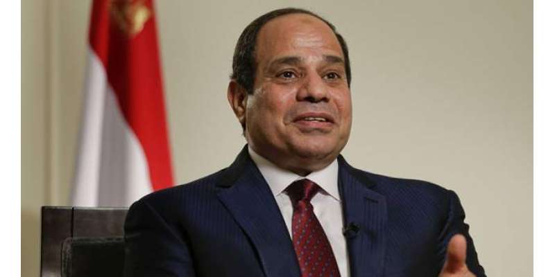 ملک کی اقتصادی حالت چھ مہینوں میں مستحکم ہو جائیگی ‘مصری صدر