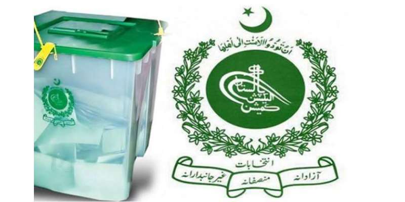بھارتی ہیکروں نے الیکشن کمیشن پاکستان کی ویب سائٹ ہیک کر لی گئی ،ترنگااور ..