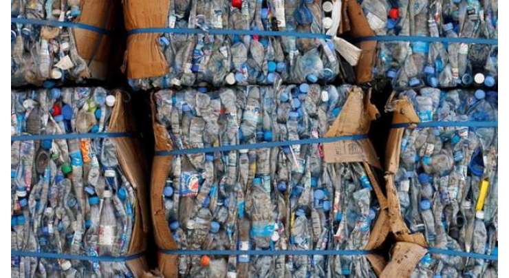 چینی محققین نے اسلام آباد کے کوڑے دان سے پلاسٹک کھانے والی ماحول دوست فنگس  شناخت کر لی