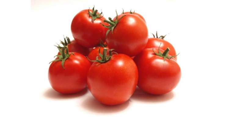 ٹماٹر کی وافر مقدار ،سستے نرخوں پر فراہمی جاری ،ٹماٹر کو محفوظ بناکر چھ ماہ تک استعمال کیا جا سکتا ہے‘ محکمہ زراعت