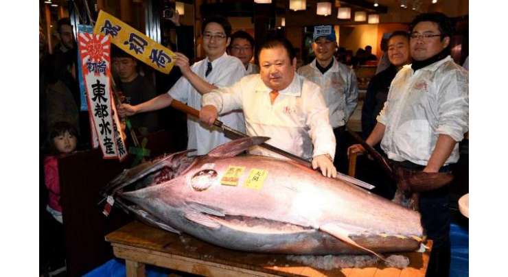 جاپانی ٹیونا کنگ نے سالانہ نیلامی میں ایک مچھلی 6 لاکھ 36 ہزار ڈالر میں خرید لی