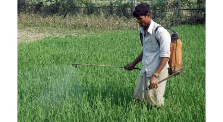 زرعی ملک ہونے کے باوجود پاکستان کی زرعی برآمدات میں مسلسل کمی