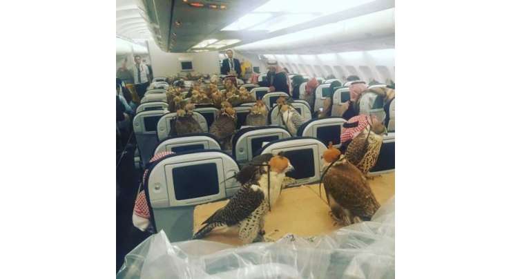 سعودی شہزادے نے 80 عقابوں کے لیے فرسٹ کلاس کے ٹکٹ خرید لیے