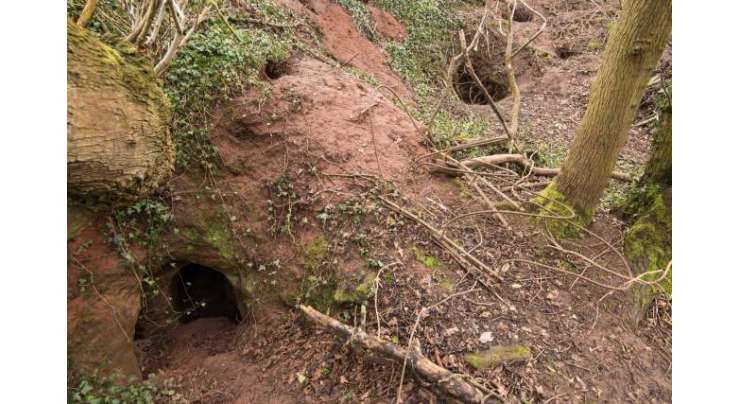 کسی کو امید نہ تھی کہ خرگوش کا سوراخ خفیہ نائٹ ٹمپلر غاروں کے نیٹ ورک تک لے جائے گا