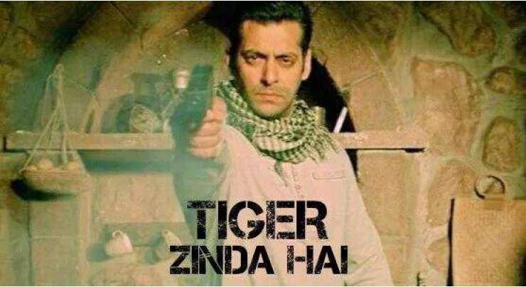 سلمان خان کو فلم "ٹایئگرزندہ ہی" میں ایک نئے روپ میں دیکھا جائے گا