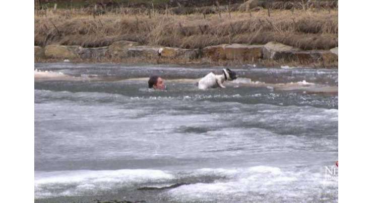 منجمد تالاب میں پھنسے کتے کو بچانے کے لیے نوجوان نے تالاب میں چھلانگ لگا دی۔ نیوز کیمرے نے منظر ریکارڈ کر لیا