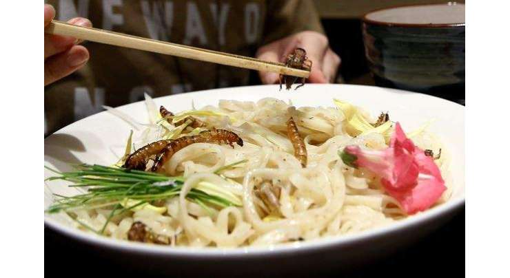 جاپانی ریسٹورنٹ  کی کیڑوں کے ساتھ متعارف کرائی گئی انوکھی ڈش کھانے کے لیےلائنیں لگ گئی