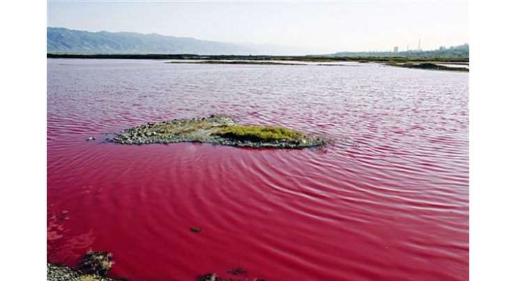چین میں ایک جھیل کی رنگت تبدیل ہو کر گلابی ہو گئی