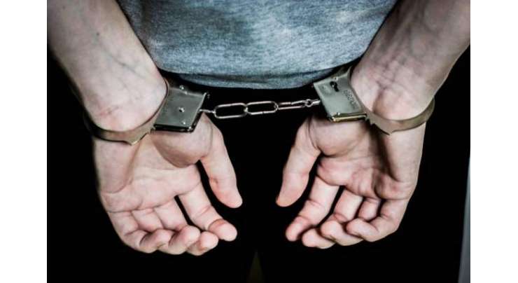 قصور پولیس کا جرائم پیشہ افراد کے خلاف کریک ڈائون، 29 افراد گرفتار