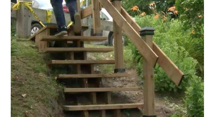 حکومت نے پارک میں سیڑھیوں کی  لاگت کا تخمینہ 65 ہزار سے ڈیڑھ لاکھ  ڈالر لگایا، شہری نے 550 ڈالر میں تعمیر کر کے دکھا دی