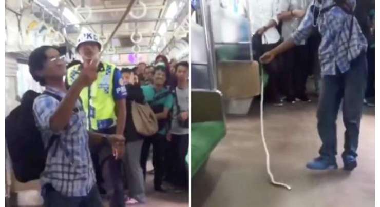 ریل میں سانپ: انڈونیشین شخص نے خالی ہاتھوں سے سانپ مار دیا