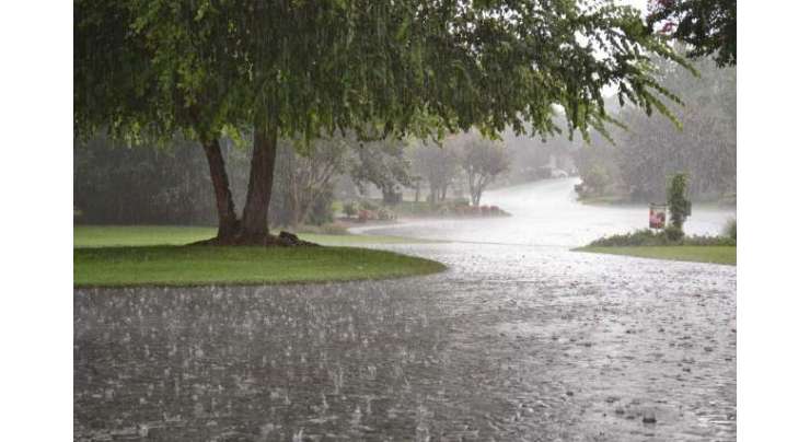 پشاورسمیت خیبرپختونخوا کے مختلف علاقوں میں بارش کاسلسلہ جاری