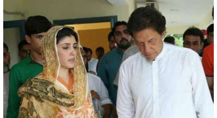 عائشہ گلالئی کے پی ٹی آئی چئیرمین عمران خان پر الزامات، قومی اسمبلی کی خصوصی کمیٹی کا معاملہ ٹھپ ہو گیا
