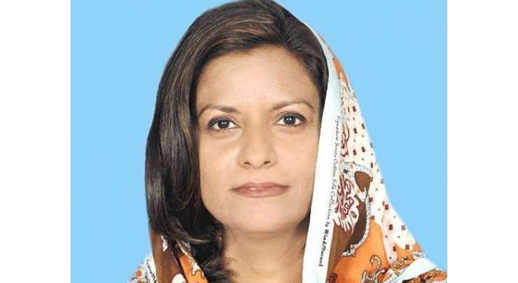فیاض چوہان پہلے بولنا سیکھے پھر سیاست کرے، ڈاکٹر نفیسہ شاہ