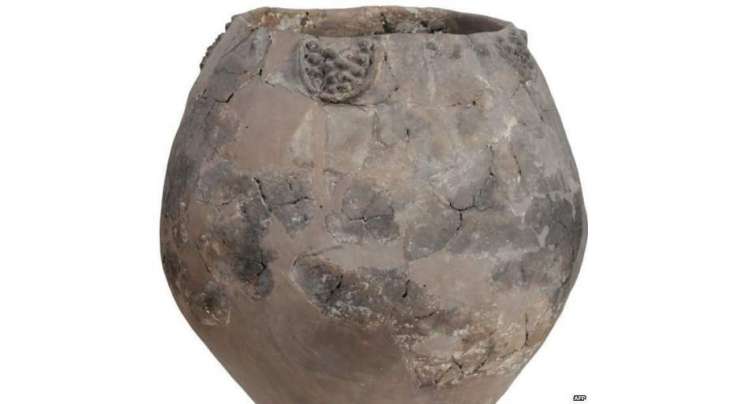 آٹھ ہزار سال پرانے مرتبان میں دنیا کی قدیم ترین شراب کی دریافت