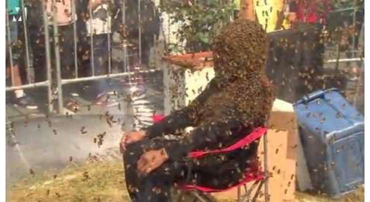 ایک شخص نے شہد کی مکھیوں کی سب سے بڑی داڑھی پہن کر نیا ورلڈ ریکارڈ بنا لیا