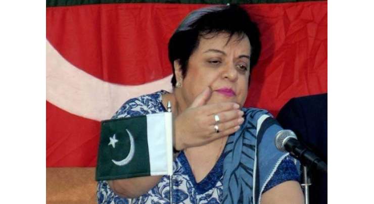 وزیراعظم تحریک انصاف کی خواتین سے متعلق ریمارکس پر معافی مانگیں: شیریں مزاری