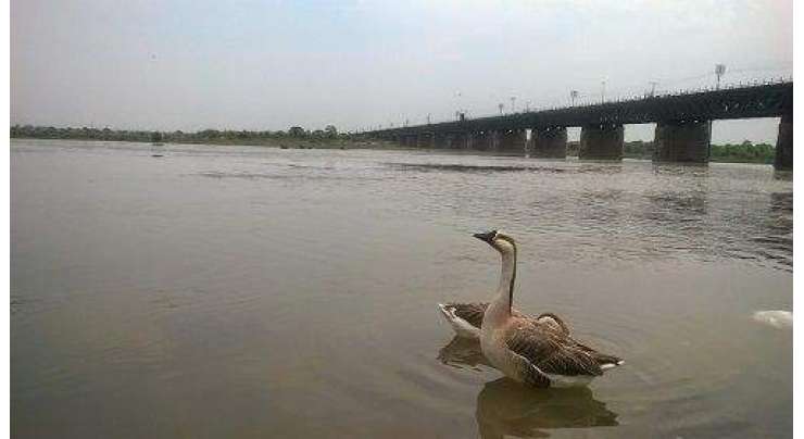 دریائے جہلم عبور کرنے کی شرط میں نوجوان جان کی بازی ہار گیا،پولیس نے نوجوان کے چار دوستوں کو حراست میں لے لیا