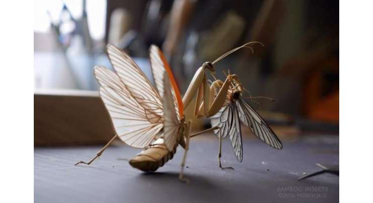جاپانی فنکار نے بانس کی مدد سے حشرات کے بالکل حقیقی نظر آنے والے ماڈل بنا دئیے