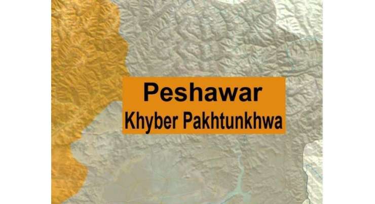 پشاور میں پولیس چوکی پر دستی بموں سے حملہ