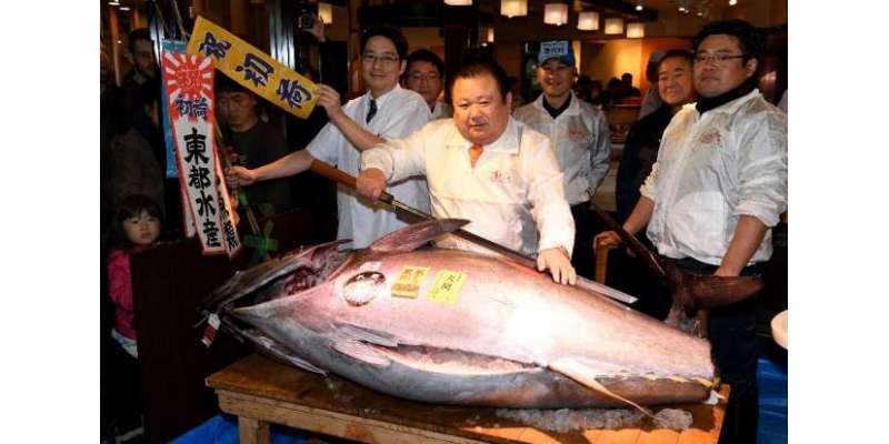 جاپانی ٹیونا کنگ نے سالانہ نیلامی میں ایک مچھلی 6 لاکھ 36 ہزار ڈالر میں ..