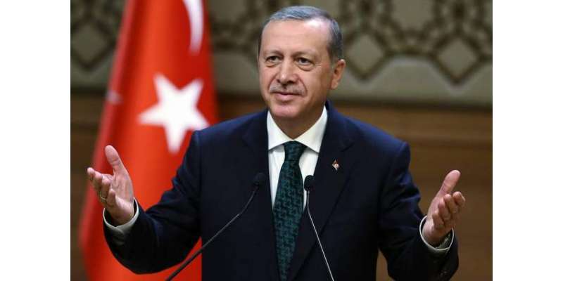 ملک کونقصان پہنچانے والے عناصر کا سر کچل دیں گے،ترک صدر