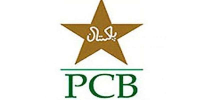 پاکستان کرکٹ ٹیم کے خلاف پنجاب اسمبلی میں قرارداد جمع