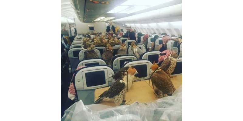 سعودی شہزادے نے 80 عقابوں کے لیے فرسٹ کلاس کے ٹکٹ خرید لیے