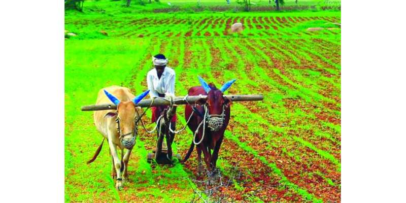 کسانوں کو بلا سود قرضوں کی فراہمی حکومت کا انقلاب آفریں اقدام ہے،ملک ..