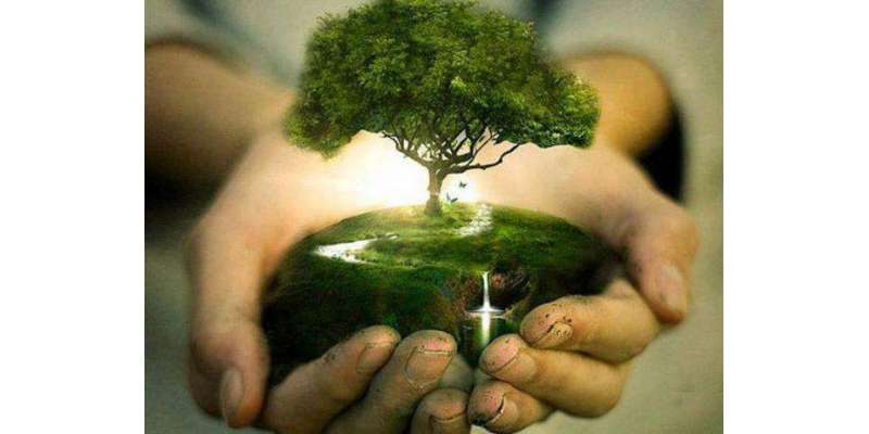 درخت انسانی بقاء اور سلامتی کے لیے ناگزیر ہے،ذیشان الحق