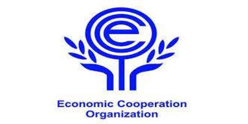 اقتصادی تعاون تنظیم رکن ممالک کی معیشت کو مضبوط بنانے میں مؤثر کردار ..