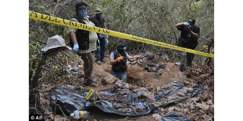 میکسیکو میں اجتماعی قبروں سے 242 نعشیں برآمد