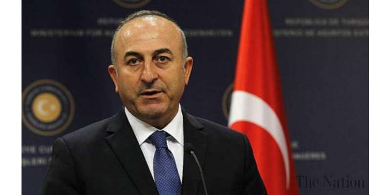 ترک وزیر خارجہ نے مارک روٹے کو فسطائی قرار دیدیا