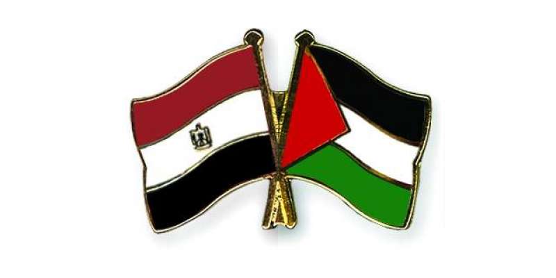 عرب امن روڈمیپ تنازع فلسطین کے حل کی اساس ہے،مصر