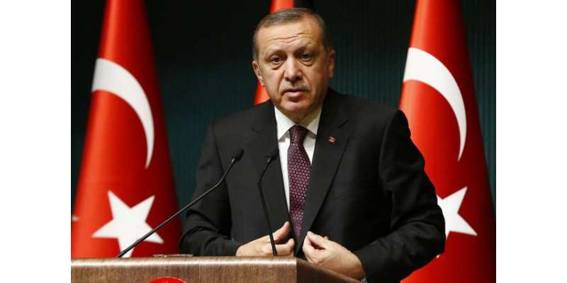 16 اپریل کے ریفرنڈم کے بعد یورپی یونین سے کھل کر بات ہوگی، ترک صدر