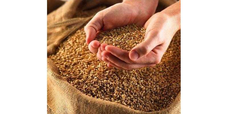 ایڈیشنل ڈپٹی کمشنر ریونیو کی زیرِ صدارت اجلاس، ضلع بھکر میں گندم خریداری ..