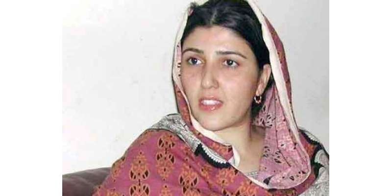 پشاور، تحریک انصاف کی خواتین اراکین نے عائشہ گلالئی کے الزامات کو مسترد ..