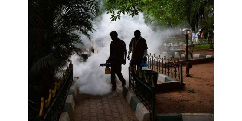 پشاورشہر میں روزانہ کی بنیاد پر مچھر مار سپرے کر نیکا مطالبہ