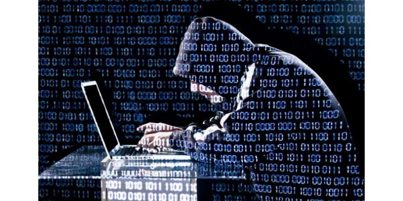 بھارتی ہیکرزکو حکومت پاکستان کی ویب سائٹ ہیک کرنا مہنگا پڑ گیا
