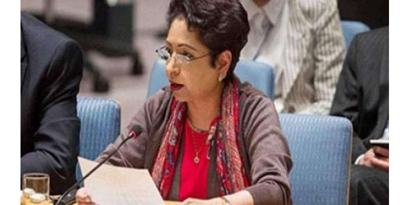 ْ پاکستان نے اقوام متحدہ کی انسانی حقوق کونسل میں بھارت کی شرمناک پالیسیوں ..