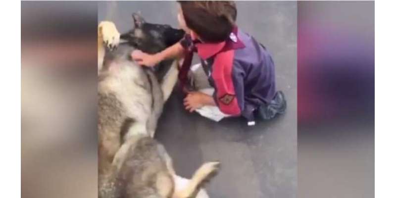 پولیس نے کتے کو ملازمت سے نکال دیا ، کتے کا ”جرم“ بہت ہی پیارا تھا