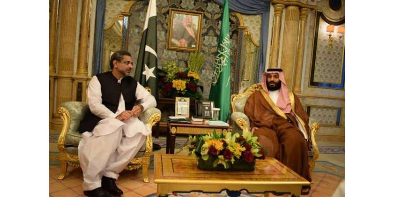وزیراعظم شاہد خاقان عباسی کی سعودی ولی عہد محمد بن سلمان سے ملاقات