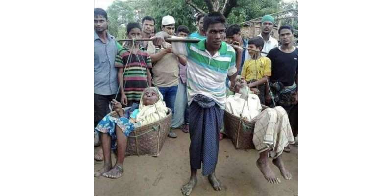 روہنگیا کے مسلمان نوجوان کی بوڑھے والدین کو ٹوکری میں بٹھا کر کندھوں ..